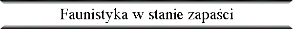 Faunistyka w stanie zapa�ci