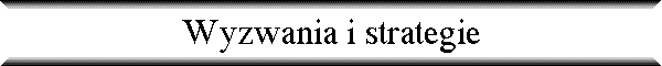 Wyzwania i strategie