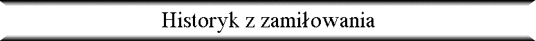 Historyk z zami�owania