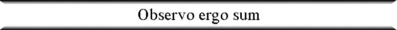 Observo ergo sum
