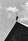  Fot. Piotr Kieraci�ski 