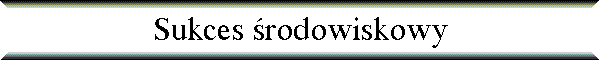 Sukces �rodowiskowy