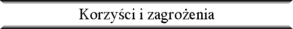 Korzy�ci i zagro�enia