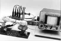 Detekcja dyslokacji z�amanych ko�ci d�ugich