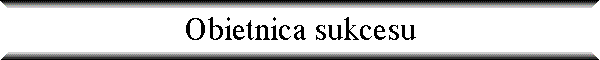 Obietnica sukcesu