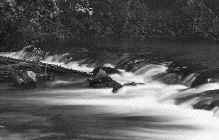 image090.jpg (14407 bytes)