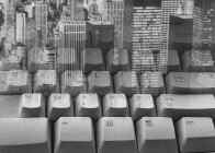 Fot. Piotr Kieraci�ski 