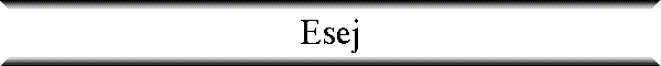 Esej