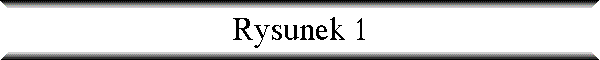 Rysunek 1
