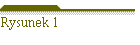 Rysunek 1