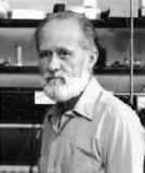 image049.jpg (12992 bytes)