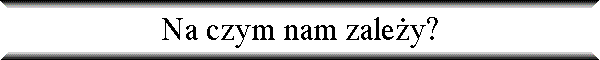 Na czym nam zale�y?