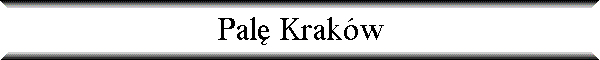 Pal� Krak�w