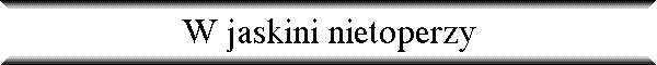 W jaskini nietoperzy