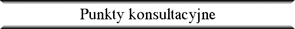 Punkty konsultacyjne