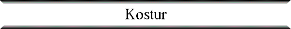 Kostur