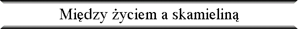 Mi�dzy �yciem a skamielin�