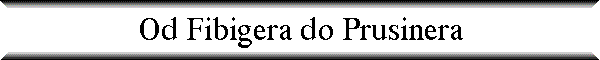Od Fibigera do Prusinera