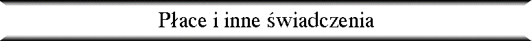 P�ace i inne �wiadczenia