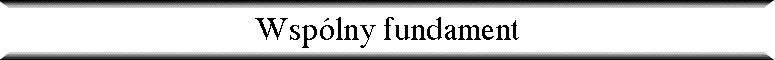 Wsp�lny fundament