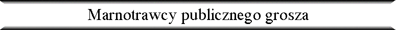 Marnotrawcy publicznego grosza