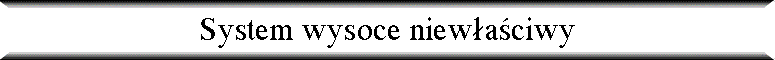 System wysoce niew�a�ciwy