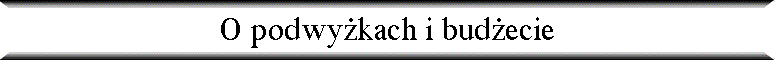 O podwy�kach i bud�ecie