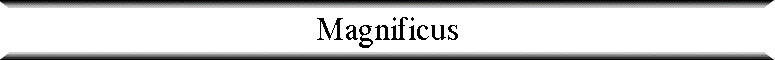 Magnificus