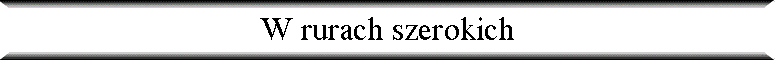 W rurach szerokich