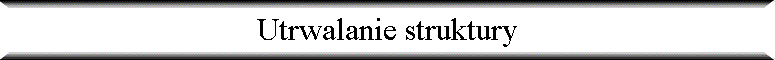 Utrwalanie struktury