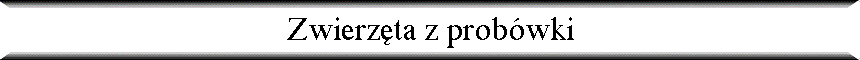 Zwierz�ta z prob�wki