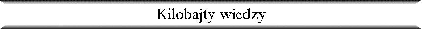 Kilobajty wiedzy