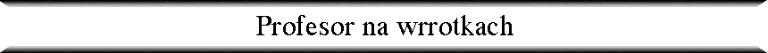 Profesor na wrrotkach
