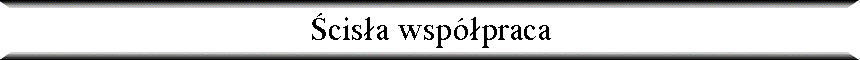 �cis�a wsp�praca