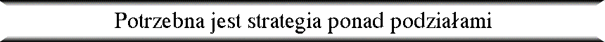 Potrzebna jest strategia ponad podzia�ami