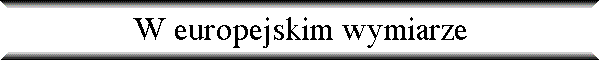 W europejskim wymiarze