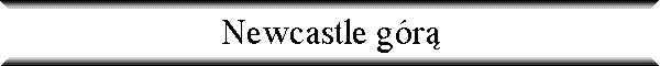 Newcastle g�r�