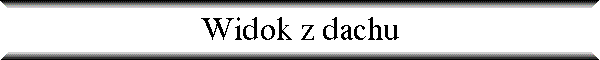 Widok z dachu