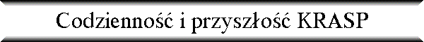Codzienno�� i przysz�o�� KRASP