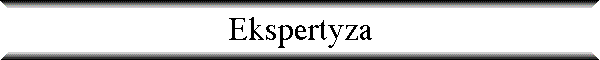 Ekspertyza