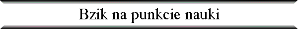 Bzik na punkcie nauki