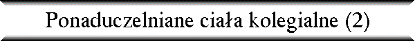 Ponaduczelniane cia�a kolegialne (2)