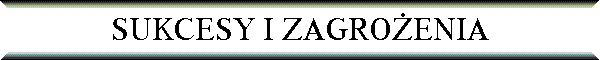 SUKCESY I ZAGRO�ENIA