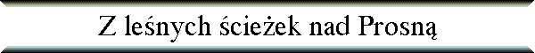 Z le�nych �cie�ek nad Prosn�